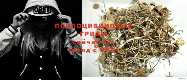 прущие крисы Алексеевка
