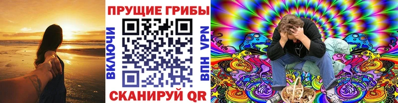 Псилоцибиновые грибы Psilocybe  где купить наркоту  Рыбное 