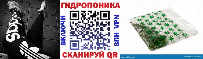 Каннабис ГИДРОПОН  darknet клад  Рыбное 